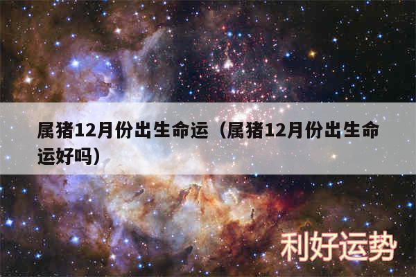 属猪12月份出生命运以及属猪12月份出生命运好吗