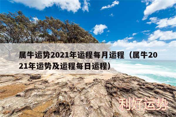 属牛运势2024年运程每月运程以及属牛2024年运势及运程每日运程