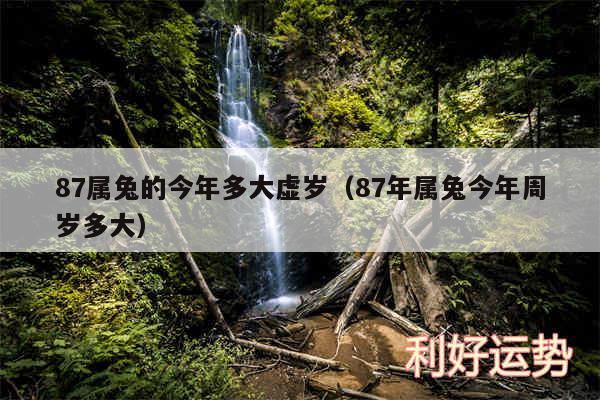 87属兔的今年多大虚岁以及87年属兔今年周岁多大