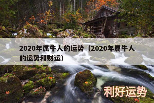 2020年属牛人的运势以及2020年属牛人的运势和财运