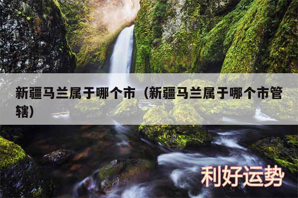 新疆马兰属于哪个市以及新疆马兰属于哪个市管辖
