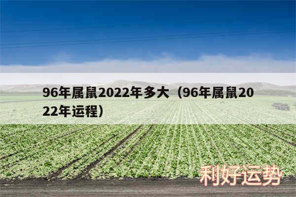 96年属鼠2024年多大以及96年属鼠2024年运程