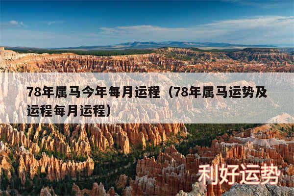 78年属马今年每月运程以及78年属马运势及运程每月运程
