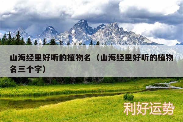 山海经里好听的植物名以及山海经里好听的植物名三个字