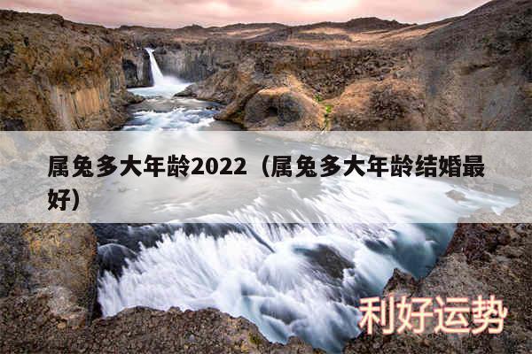 属兔多大年龄2024以及属兔多大年龄结婚最好