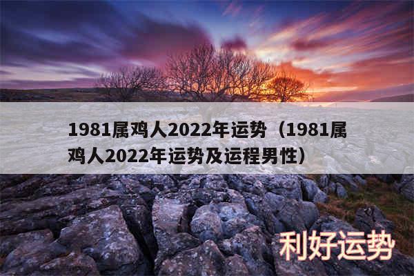 1981属鸡人2024年运势以及1981属鸡人2024年运势及运程男性