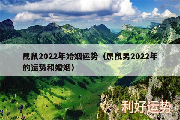 属鼠2024年婚姻运势以及属鼠男2024年的运势和婚姻