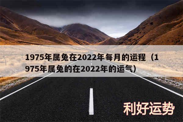 1975年属兔在2024年每月的运程以及1975年属兔的在2024年的运气