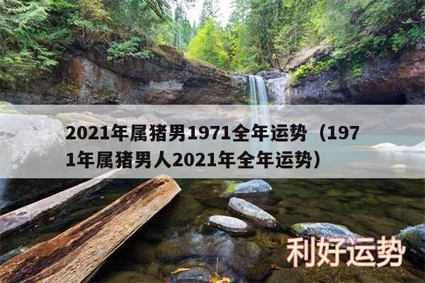 2024年属猪男1971全年运势以及1971年属猪男人2024年全年运势