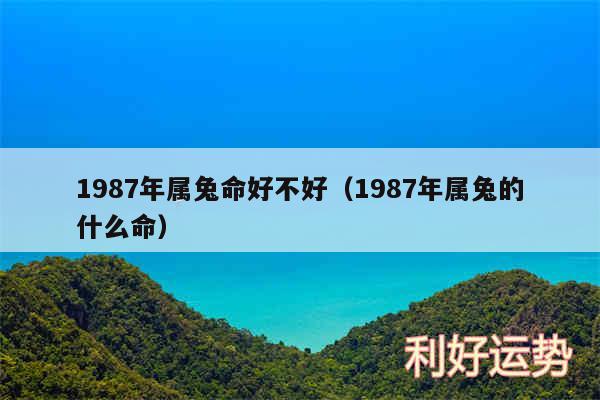 1987年属兔命好不好以及1987年属兔的什么命