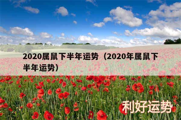 2020属鼠下半年运势以及2020年属鼠下半年运势