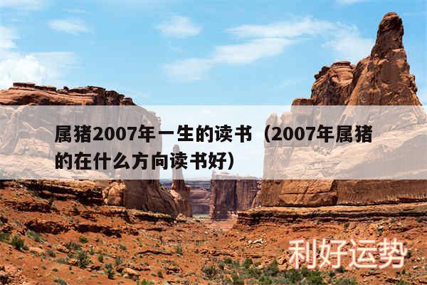 属猪2007年一生的读书以及2007年属猪的在什么方向读书好