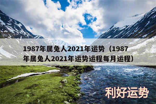 1987年属兔人2024年运势以及1987年属兔人2024年运势运程每月运程