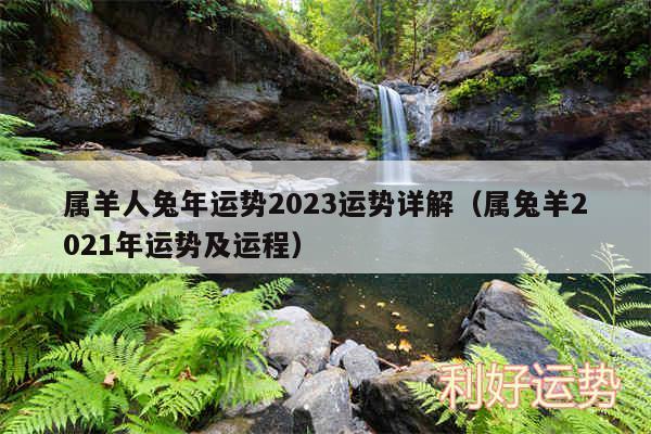 属羊人兔年运势2024运势详解以及属兔羊2024年运势及运程