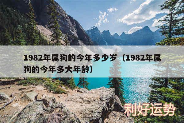 1982年属狗的今年多少岁以及1982年属狗的今年多大年龄