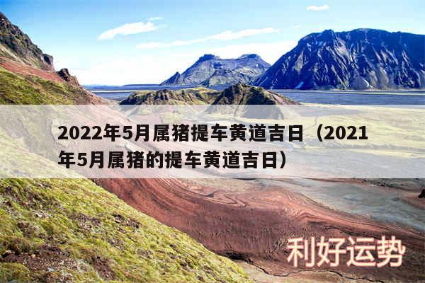 2024年5月属猪提车黄道吉日以及2024年5月属猪的提车黄道吉日