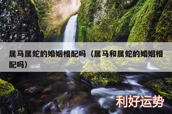 属马属蛇的婚姻相配吗以及属马和属蛇的婚姻相配吗