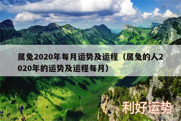 属兔2020年每月运势及运程以及属兔的人2020年的运势及运程每月