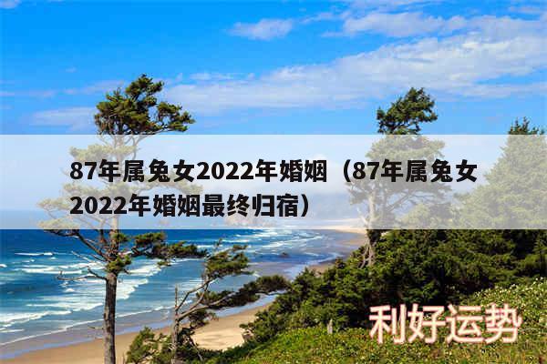 87年属兔女2024年婚姻以及87年属兔女2024年婚姻最终归宿