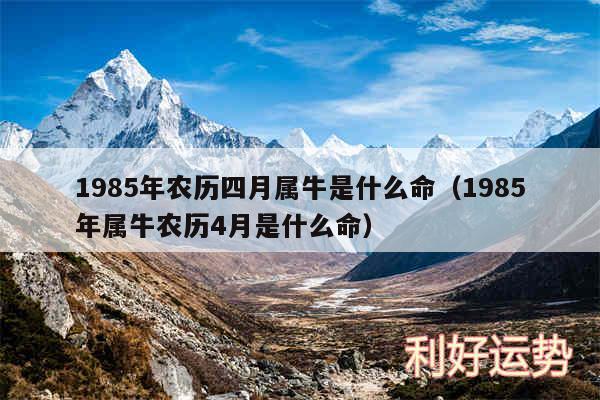 1985年农历四月属牛是什么命以及1985年属牛农历4月是什么命