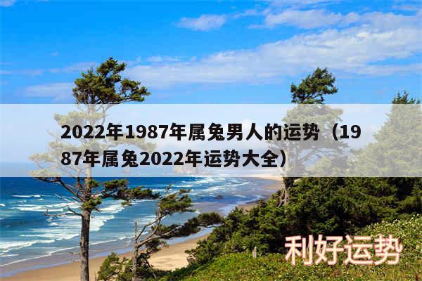 2024年1987年属兔男人的运势以及1987年属兔2024年运势大全