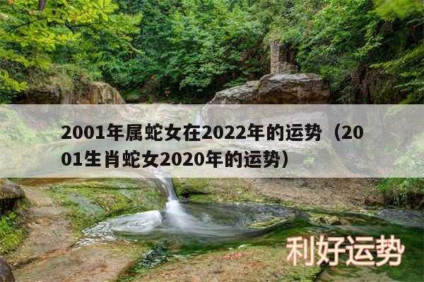 2001年属蛇女在2024年的运势以及2001生肖蛇女2020年的运势