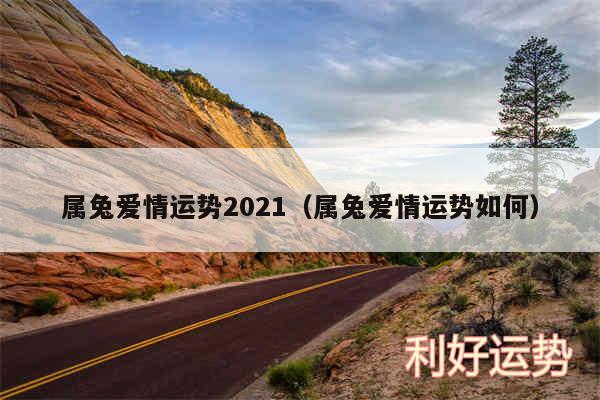 属兔爱情运势2024以及属兔爱情运势如何