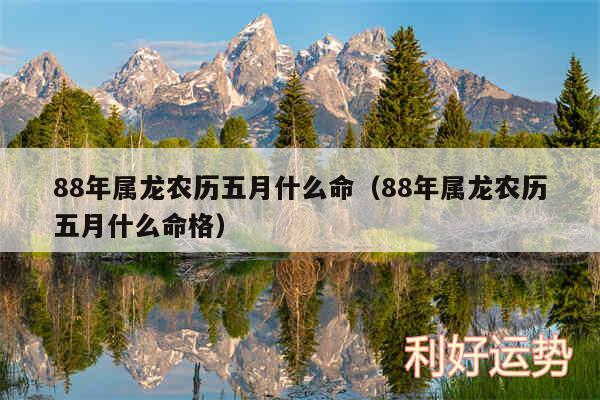 88年属龙农历五月什么命以及88年属龙农历五月什么命格