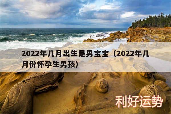 2024年几月出生是男宝宝以及2024年几月份怀孕生男孩