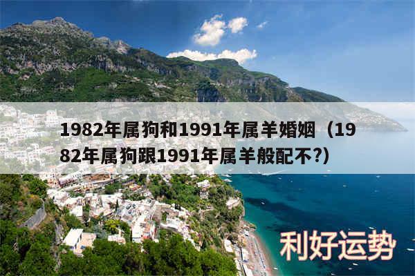 1982年属狗和1991年属羊婚姻以及1982年属狗跟1991年属羊般配不?