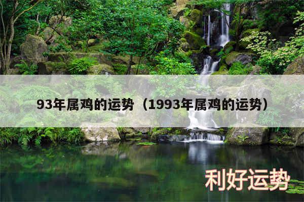 93年属鸡的运势以及1993年属鸡的运势