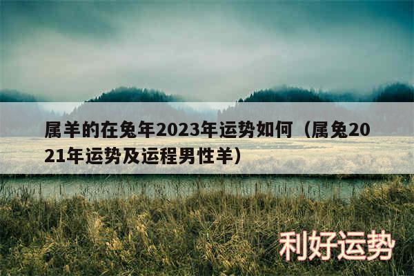 属羊的在兔年2024年运势如何以及属兔2024年运势及运程男性羊