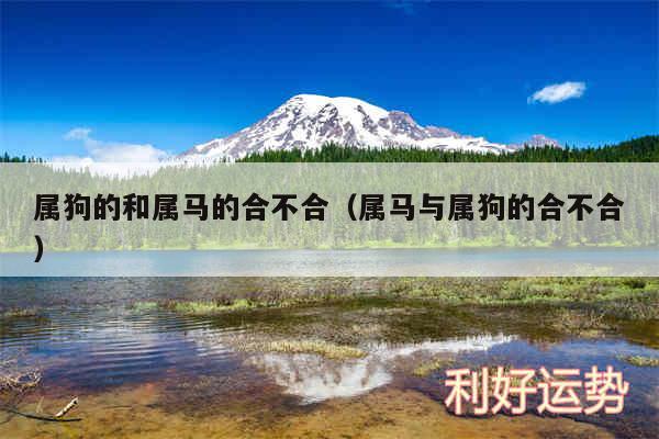 属狗的和属马的合不合以及属马与属狗的合不合