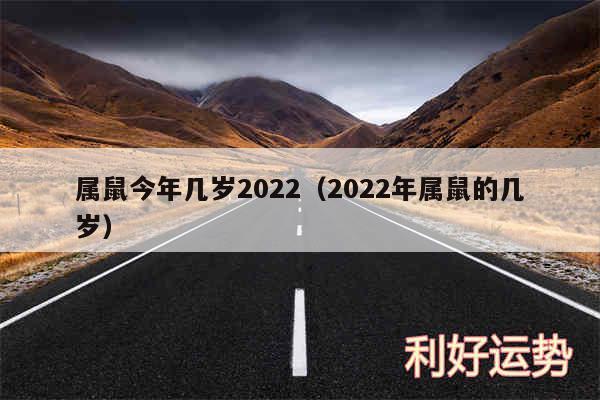 属鼠今年几岁2024以及2024年属鼠的几岁