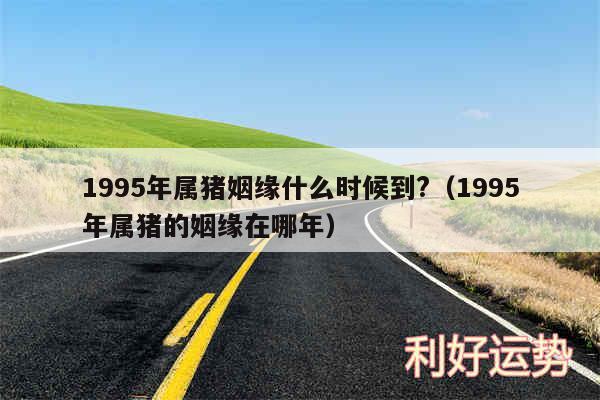 1995年属猪姻缘什么时候到?以及1995年属猪的姻缘在哪年