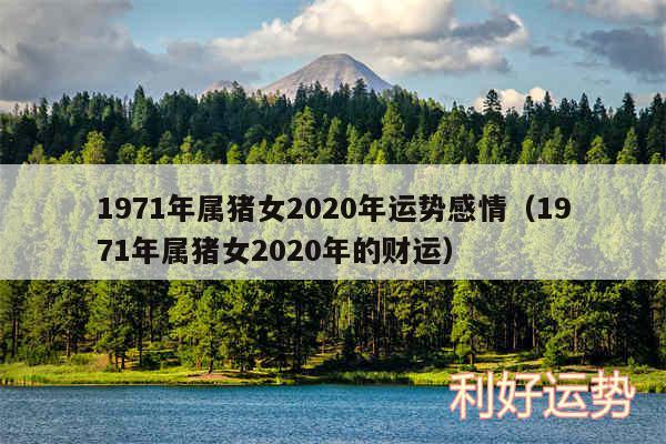 1971年属猪女2020年运势感情以及1971年属猪女2020年的财运