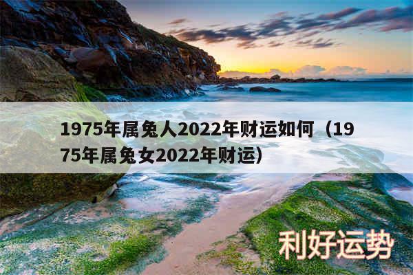 1975年属兔人2024年财运如何以及1975年属兔女2024年财运