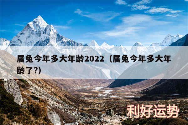 属兔今年多大年龄2024以及属兔今年多大年龄了?