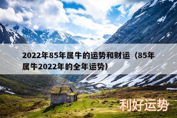 2024年85年属牛的运势和财运以及85年属牛2024年的全年运势