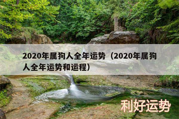 2020年属狗人全年运势以及2020年属狗人全年运势和运程