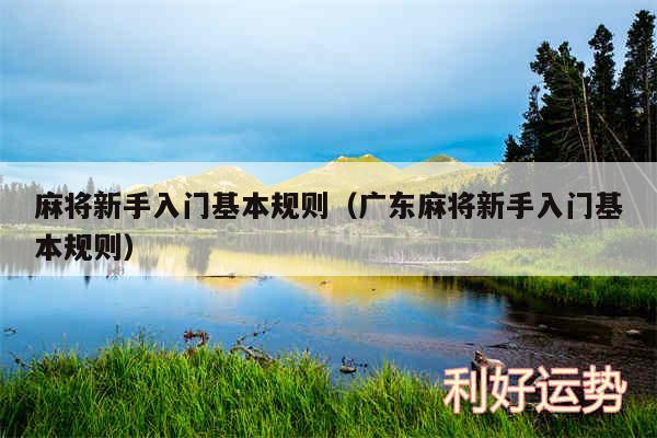 麻将新手入门基本规则以及广东麻将新手入门基本规则