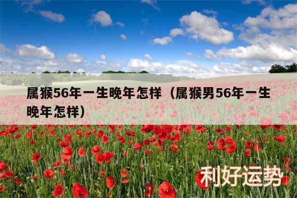 属猴56年一生晚年怎样以及属猴男56年一生晚年怎样