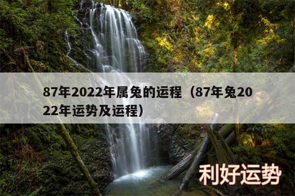 87年2024年属兔的运程以及87年兔2024年运势及运程