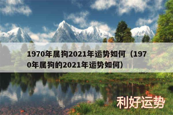 1970年属狗2024年运势如何以及1970年属狗的2024年运势如何