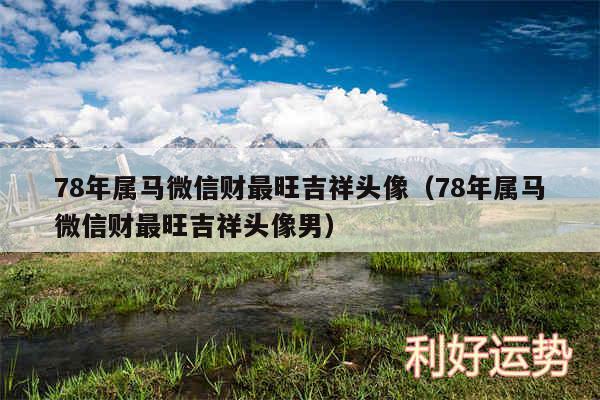 78年属马微信财最旺吉祥头像以及78年属马微信财最旺吉祥头像男