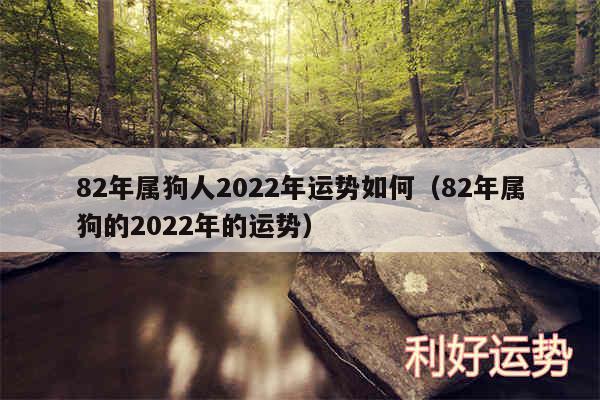 82年属狗人2024年运势如何以及82年属狗的2024年的运势