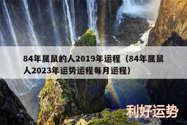 84年属鼠的人2019年运程以及84年属鼠人2024年运势运程每月运程