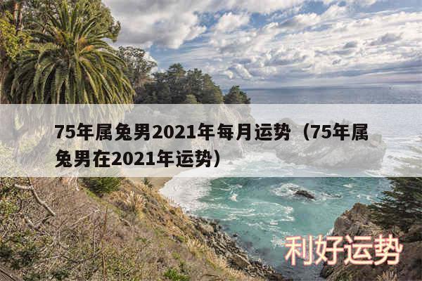 75年属兔男2024年每月运势以及75年属兔男在2024年运势