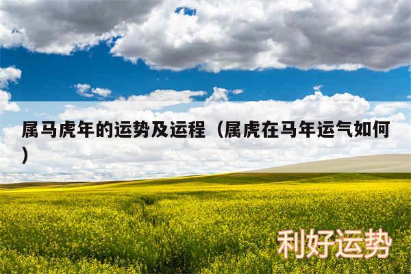 属马虎年的运势及运程以及属虎在马年运气如何