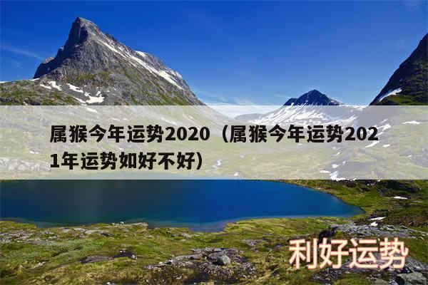 属猴今年运势2020以及属猴今年运势2024年运势如好不好